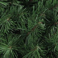 Green Colorado Spruce Artificial Christmas Wreath  36-Inch  Unlit