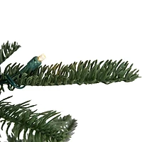 6.5' Pre-Lit Nordmann Fir Artificial Christmas Tree  Warm Clear LED Lights