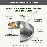 GreenPan Valencia Pro Stainless Steel Uncoated 2-Piece Frypan Set