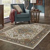 Covington Home Adeline Oriental Medallion Indoor Rectangular Area Rug
