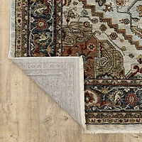 Covington Home Adeline Oriental Medallion Indoor Rectangular Area Rug