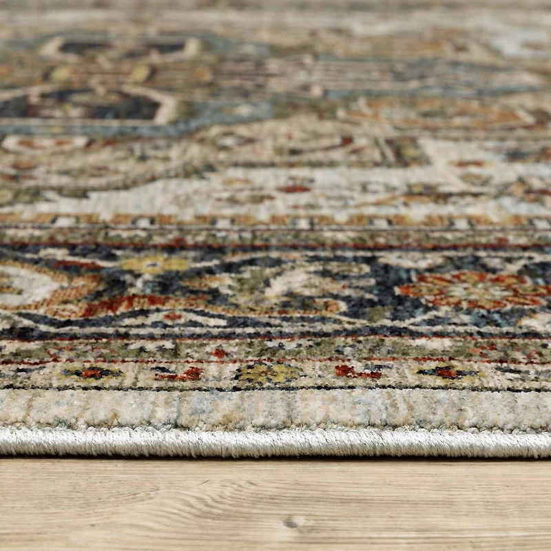 Covington Home Adeline Oriental Medallion Indoor Rectangular Area Rug