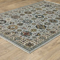 Covington Home Adeline Traditional Medallion Indoor Rectangular Area Rug