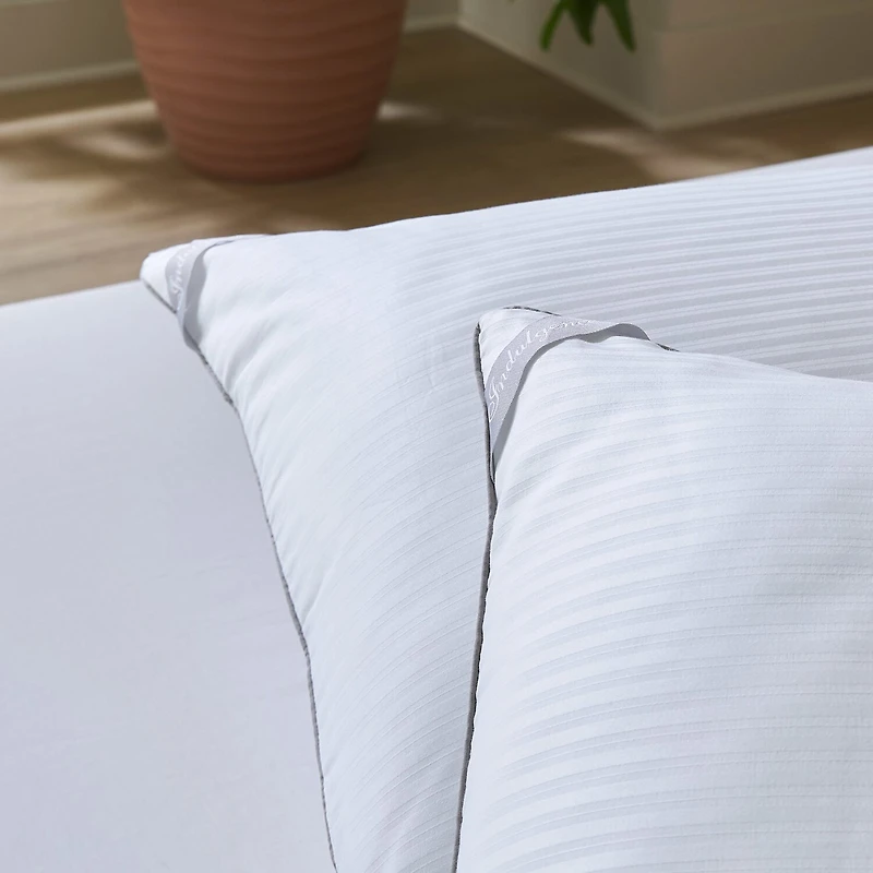 Indulgence Down Alternative Traditional Pillow