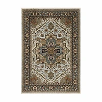 Covington Home Adeline Oriental Medallion Indoor Rectangular Accent Rug