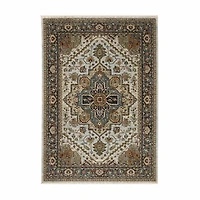 Covington Home Adeline Oriental Medallion Indoor Rectangular Area Rug