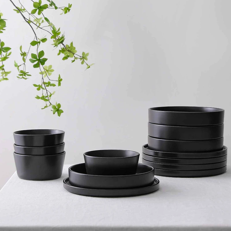 Stone + Lain Celina 12-pc. Stoneware Dinnerware Set