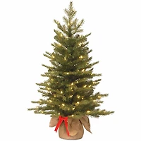 National Tree Co. Nordic Spruce 3 Foot Pre-Lit Spruce Christmas Tree