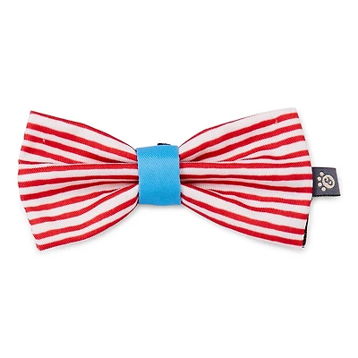 Paw & Tail Striped Dog Bowtie