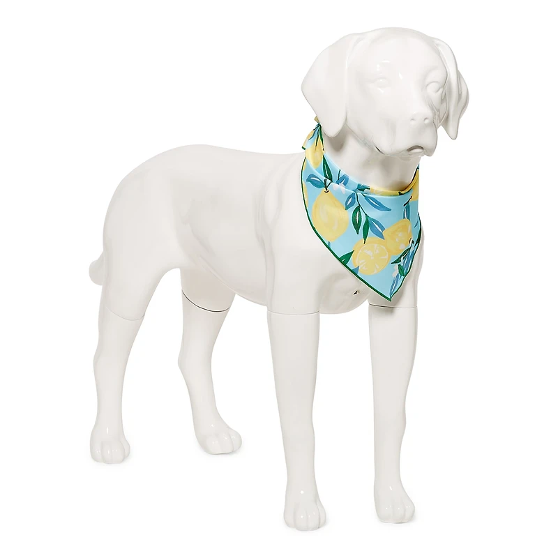 Paw & Tail Dog Spring Bandana
