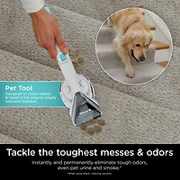 Shark Stain Striker Carpet Cleaner Handheld Vacuum