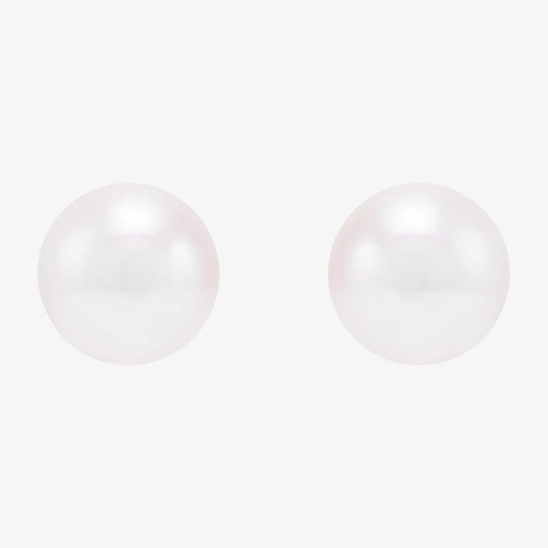 Certified Sofia™ Cultured Freshwater Pearl 5-5.5mm 10K Gold Stud Earrings