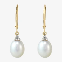 Certified Sofia™ Cultured Freshwater Pearl 14K Yellow Gold Earrings