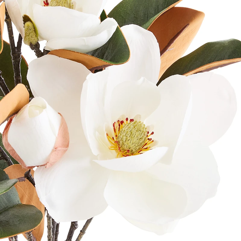 Linden Street Magnolia Floral Arrangement