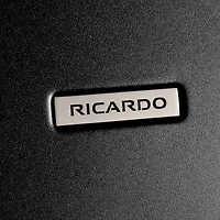 Ricardo Beverly Hills Cambria 24 Inch Hardside Checked Spinner Luggage