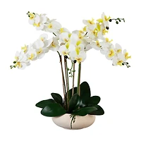 Nearly Natural 23in. White Phalaenopsis Orchid Floral Arrangement