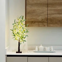 Nearly Natural 2ft. Green Lighted Olive Indoor Artificial Tree