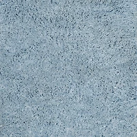 Safavieh Florence Shag Collection Douglas Solid Area Rug