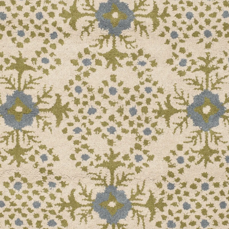Safavieh Phoebe Hand Tufted Area Rug