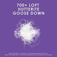 Canadian Down & Feather Company 725 Loft Hutterite White Goose Pillow - Soft Support