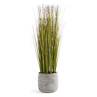 Linden Street 29in Lemongrass Artificial Plant