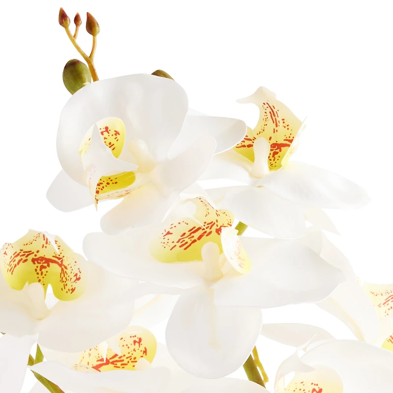 Linden Street 19in Orchid Artificial Plant
