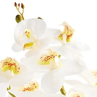 Linden Street 19in Orchid Artificial Plant