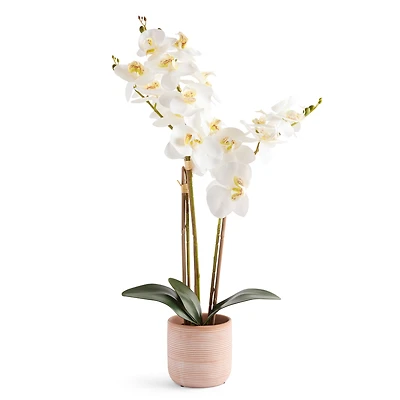 Linden Street 19in Orchid Artificial Plant