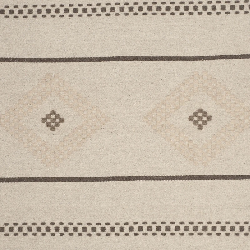 Safavieh Tyson Hand Woven Flat Weave Area Rug