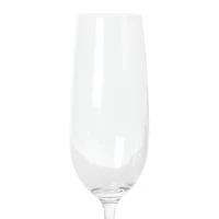 Martha Stewart Vivica 4-pc. Champagne Flute