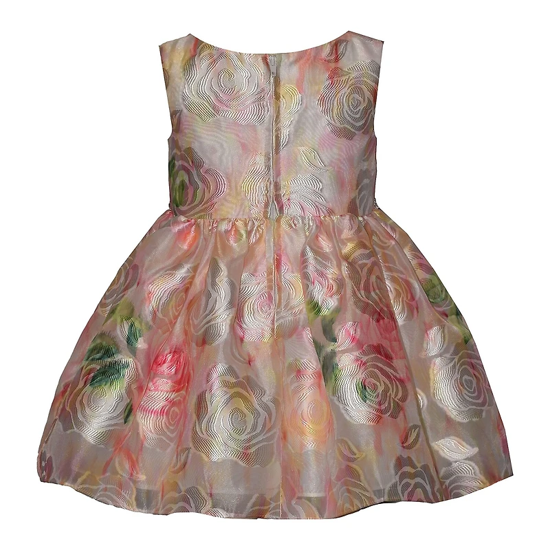 Bonnie Jean Baby Girls Sleeveless A-Line Dress