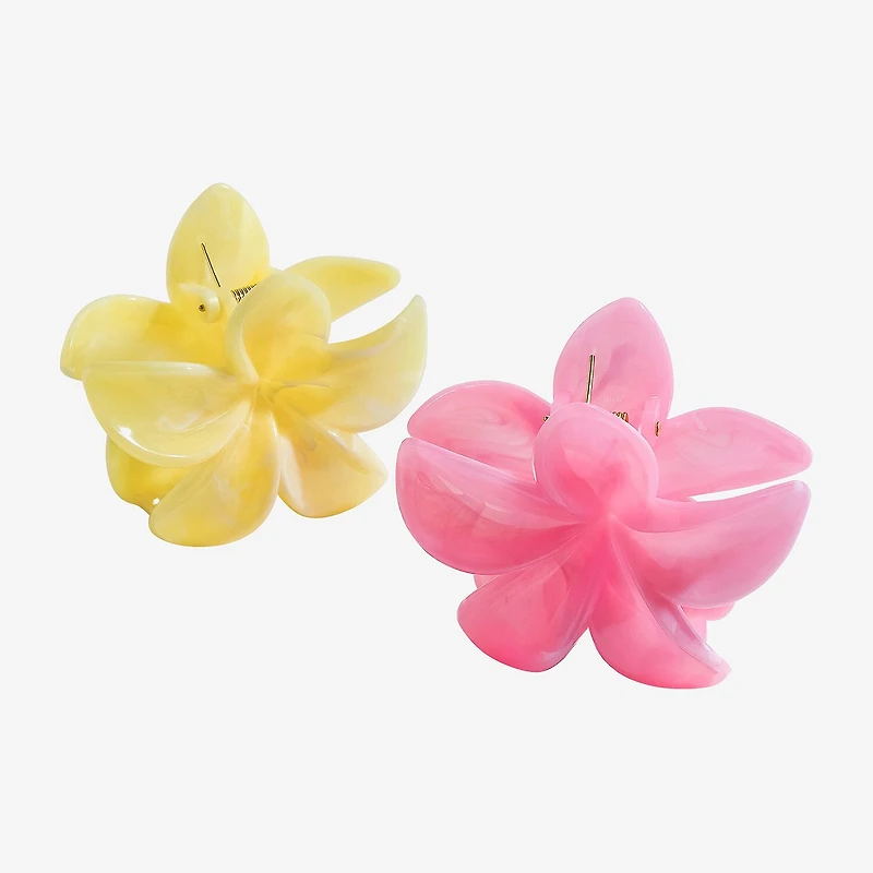 Arizona Hair Clip