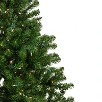 Northlight Medium Balsam Artificial Clear Lights 6 Foot Pre-Lit Pine Christmas Tree