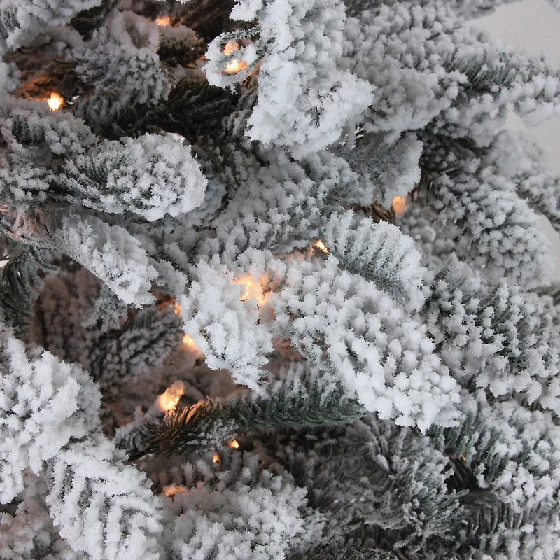 Northlight Full Whistler Noble Artificial Clear Lights 7 1/2 Foot Flocked Fir Christmas Tree