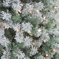 Northlight Medium Winema Artificial Clear Lights 4 1/2 Foot Pre-Lit Pine Christmas Tree