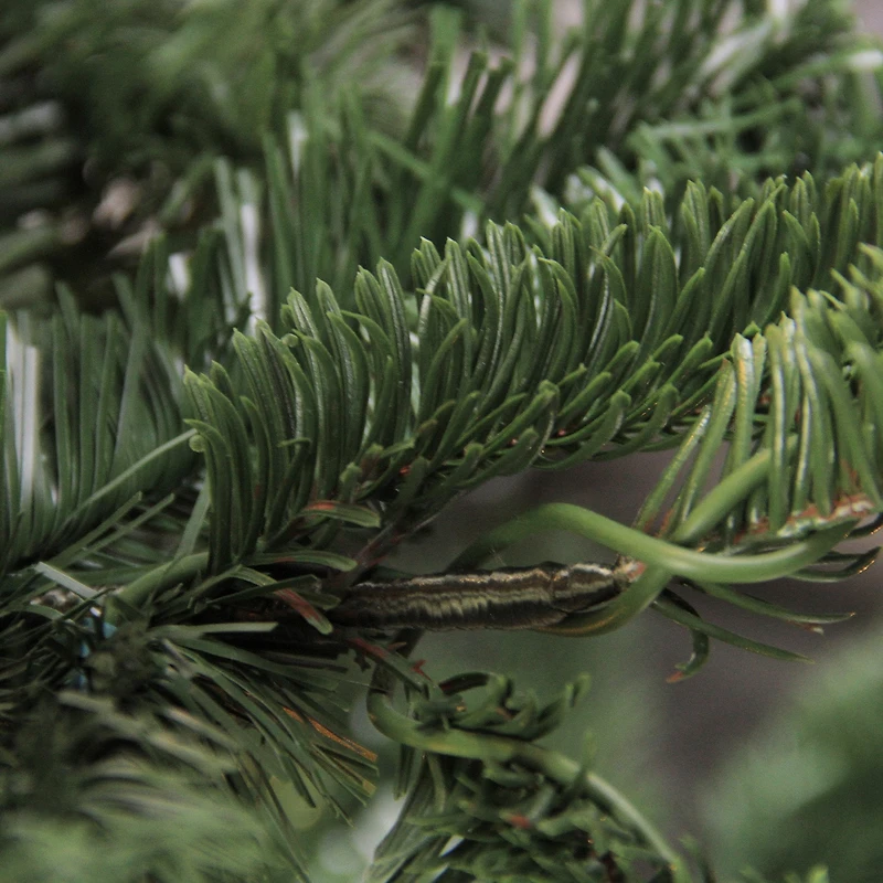 Northlight Slim Nordmann Layered Artificial Unlit 4 1/2 Foot Fir Christmas Tree