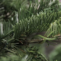 Northlight Slim Nordmann Layered Artificial Unlit 4 1/2 Foot Fir Christmas Tree