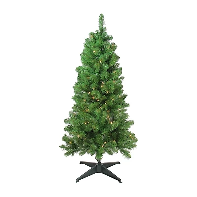 4' x 25'' Pre-Lit Blackwater Fir Artificial Christmas Tree- Clear Lights