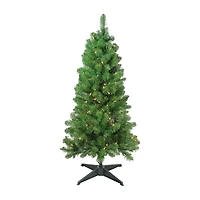 4' x 25'' Pre-Lit Blackwater Fir Artificial Christmas Tree- Clear Lights