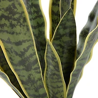 Linden Street 22.25in Snake Artificial Plant