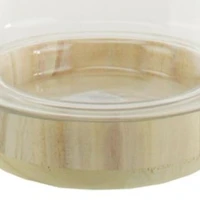 13.5'' Clear and Beige Round Container with Base