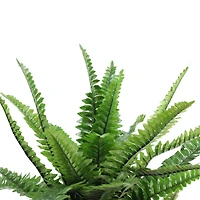 17.5'' Potted Artificial Tall Green Boston Fern Plant