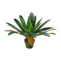 22'' Potted Artificial Green and Brown Bird Nest Fern Plant