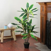 55'' Green and Red Potted Two Tone Dracaena Artificial Plant