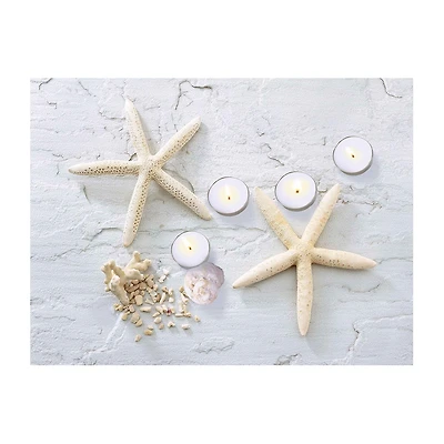 LED Lighted Starfish  Seashell and Tea Light Candles Canvas Wall Art 15.75"