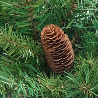 9' x 16'' Dakota Red Pine Cones Artificial Christmas Garland - Unlit