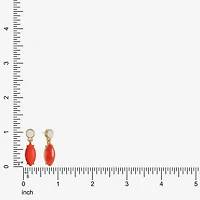 Liz Claiborne Womens Glass Hypoallergenic Drop Earrings