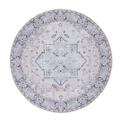 Safavieh Tucson Danita Indoor Round Area Rug