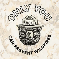 Camo Smokey Bear Womens Juniors Crew Neck Short Sleeve Oversized Graphic T-Shirt