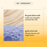 Philosophy Facial Cleanser